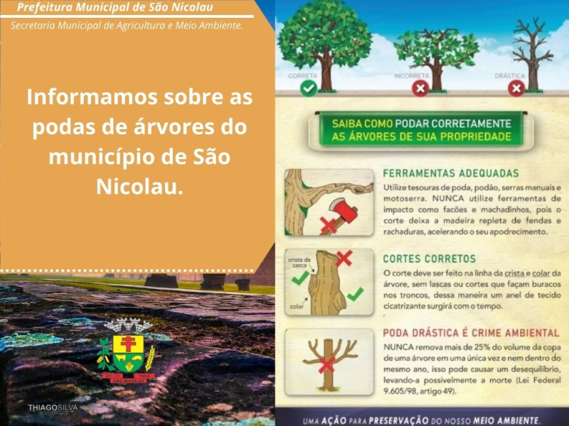 COMUNICADO SOBRE AS PODAS DE ÁRVORES